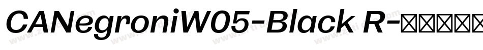 CANegroniW05-Black R字体转换